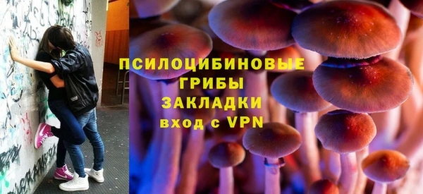 мдпв Киренск