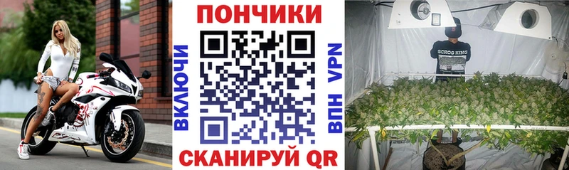 Бошки Шишки гибрид Ковдор